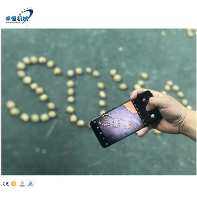 스테인레스 스틸 텍스트루레이션 식품 소아 단백질 바프 가공 기계 생산