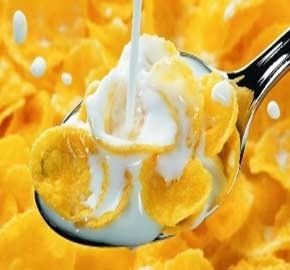 핵심 부품 펌프 옥수수 아침식사 곡물 제조 기계 사용자 정의