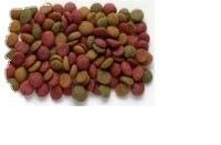 쌍 나사 추출기 애완 동물 식품 건조 장비 고객 요구 사항에 대한 처리 라인