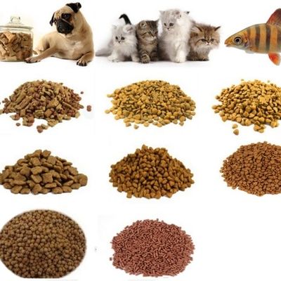 식품 150kg/h 용량 생선 먹이 필렛 제조 가공 기계 가뭄 작은 애완 동물 식품