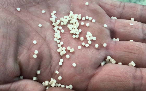 1500 KG 자동 사용자 친화적인 코스쿠스 제조 기계 CE 인증