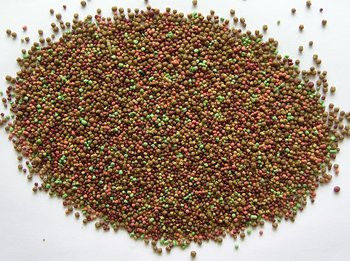 35kW 용량 건조 애완견 음식 떠있는 생선 먹이 펠릿 배제 제조기 생선 재배